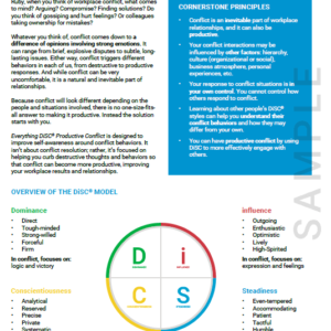 Durchführung Persönlichkeitstest: Everything DiSC® Productive Conflict (engl.)