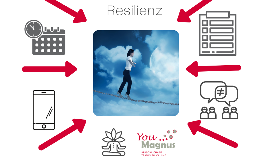 Kopie von YouMagnus posts zu Resilienz und DiSG